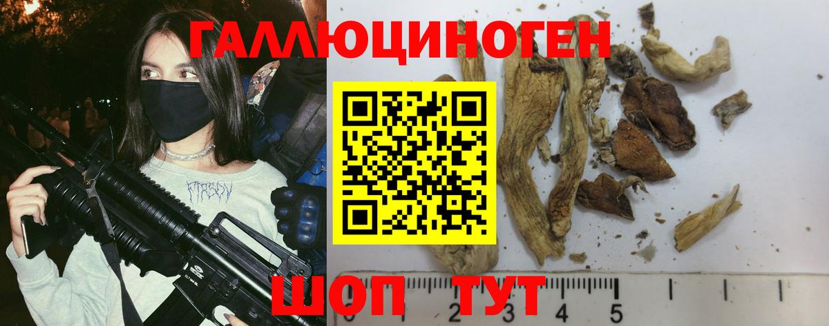 Псилоцибиновые грибы GOLDEN TEACHER  Вход с VPN  Старая Купавна 